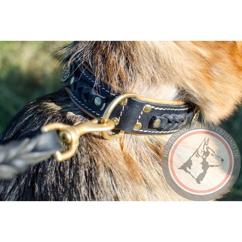Luxus Halsband für Deutschen Schäferhund