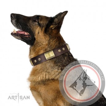 FDT Artisan Leather Dog Collar with Studs for German Shepherd "Captivating" 